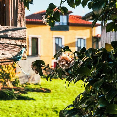 La Casona De Faedo Pension Hotel ภายนอก รูปภาพ