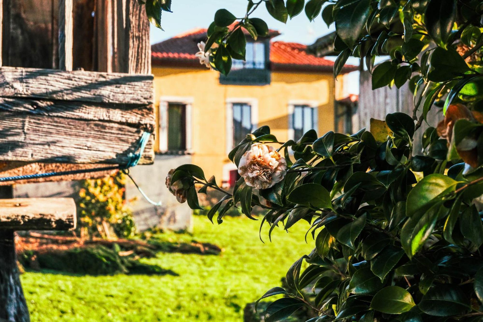 La Casona De Faedo Pension Hotel ภายนอก รูปภาพ