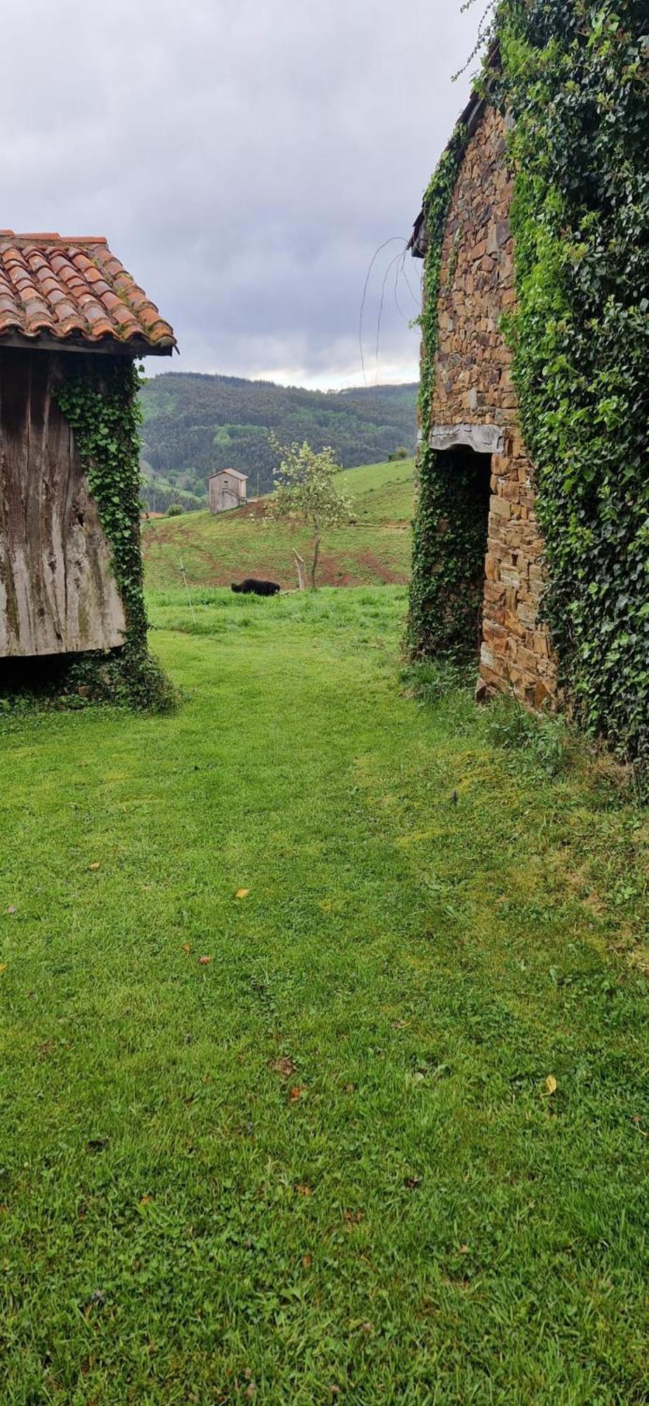 La Casona De Faedo Pension Hotel ภายนอก รูปภาพ