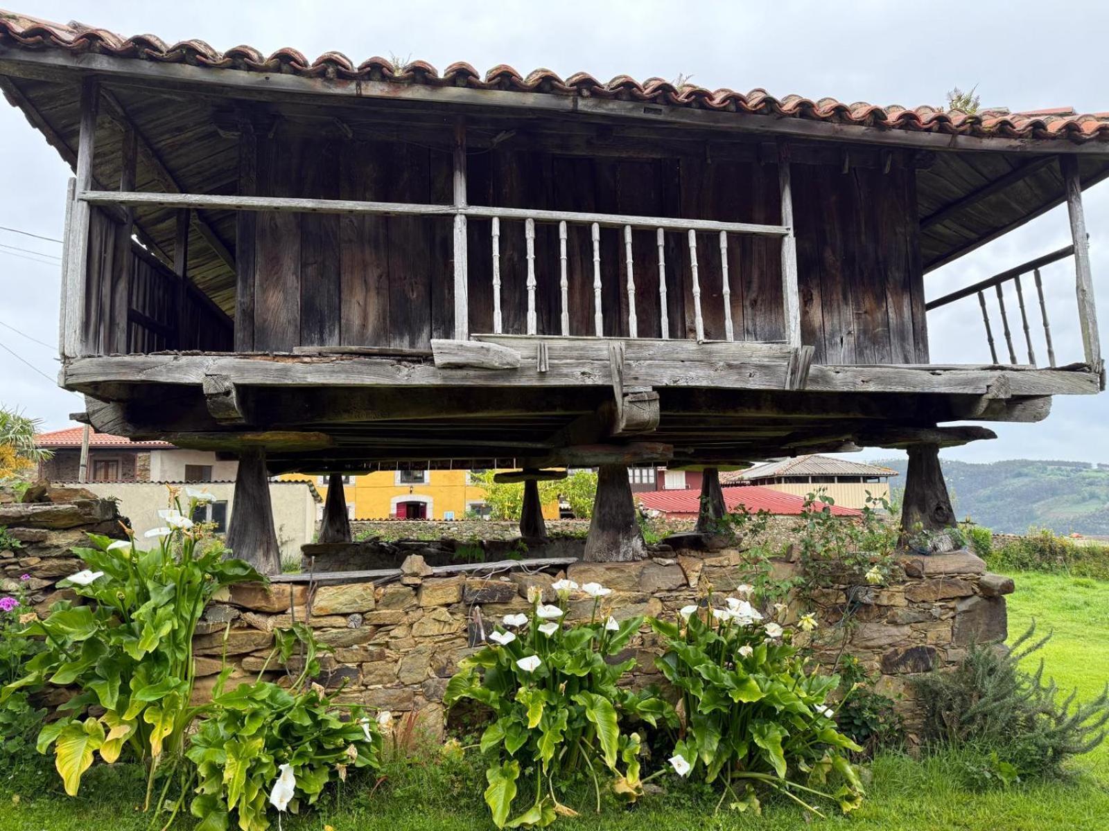 La Casona De Faedo Pension Hotel ภายนอก รูปภาพ