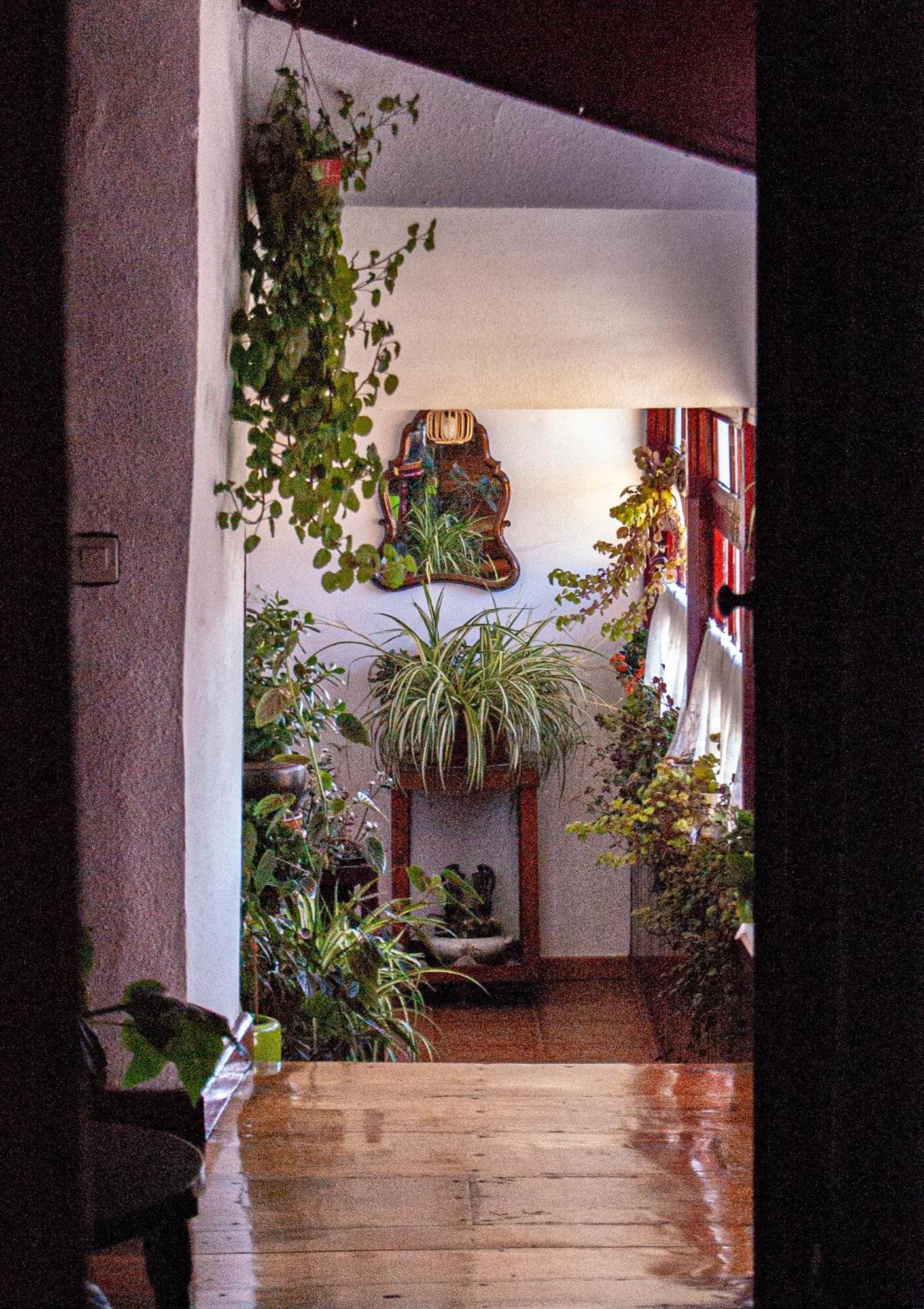 La Casona De Faedo Pension Hotel ภายนอก รูปภาพ