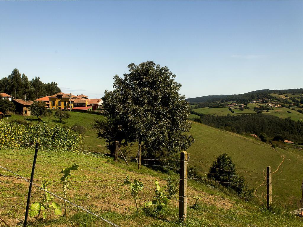 La Casona De Faedo Pension Hotel ภายนอก รูปภาพ